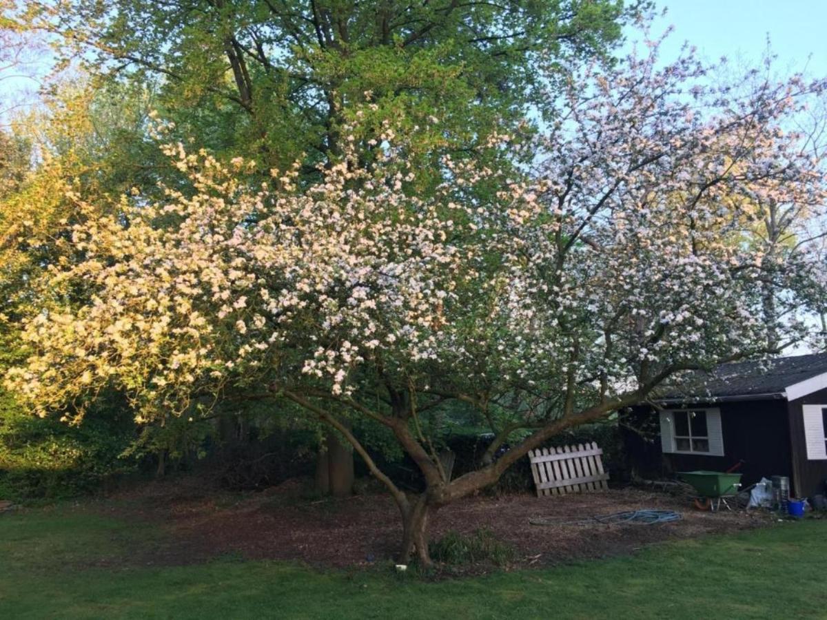 Rose House B&B Ghent Luaran gambar